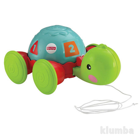 Детская игрушка Fisher Price Каталка Ученая черепашка (Y8652)